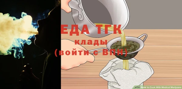 индика Абаза