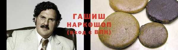 индика Абаза