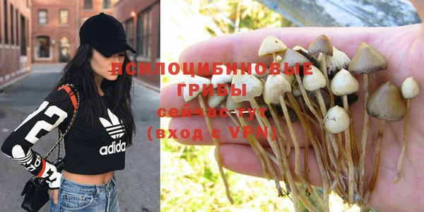 PSILOCYBIN Абдулино
