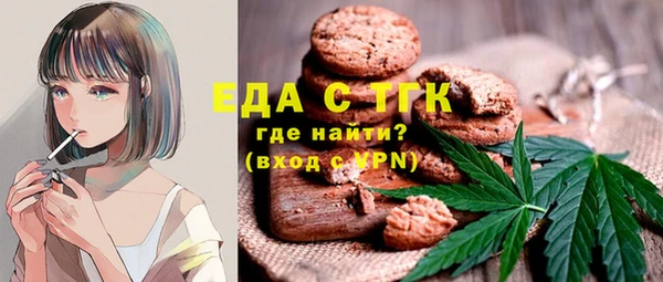 индика Абаза