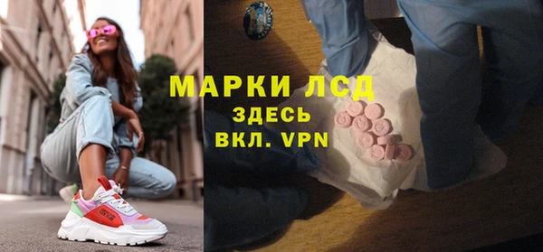 индика Абаза